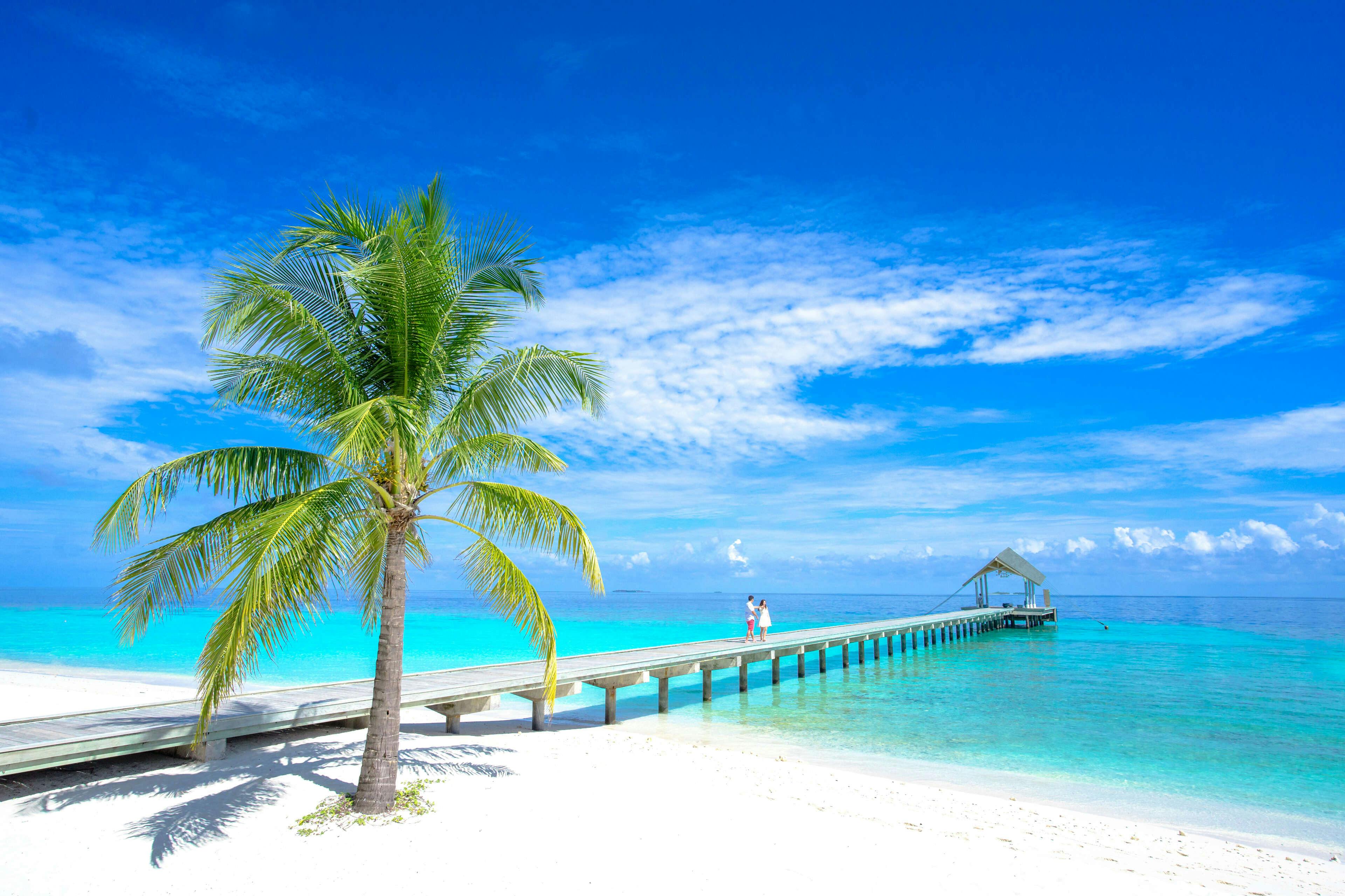 Tahiti Paradise Private JourneyImage